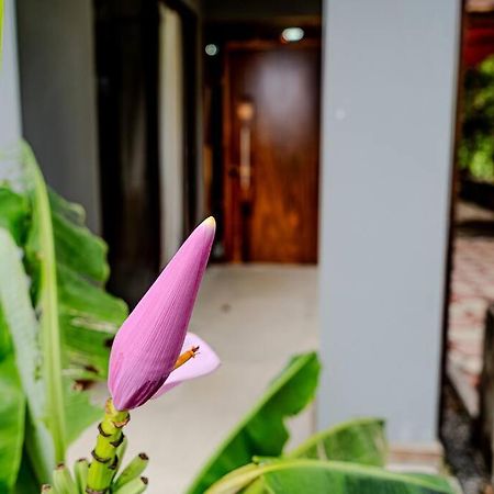 Cloud Forest House Monteverdes Экстерьер фото